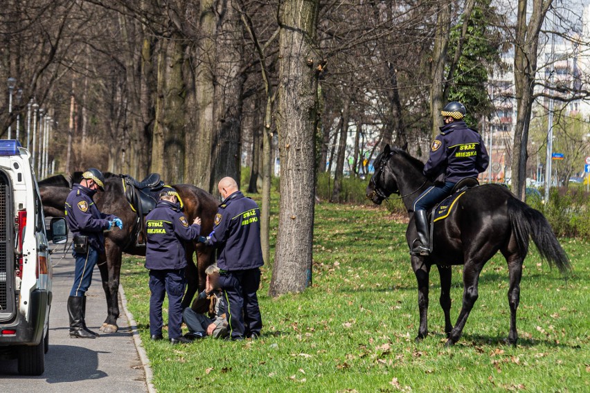 Konny patrol straży miejskiej interweniował w parku Zachodnim. Co się stało? 