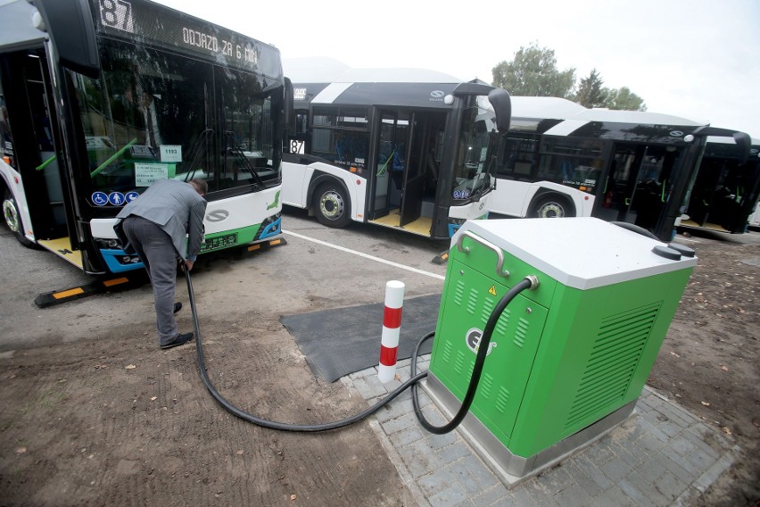 Nowe autobusy elektryczne w Szczecinie