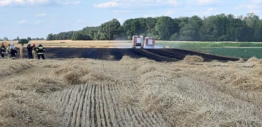 Do trzech pożarów pól doszło w czwartek na terenie powiatu...