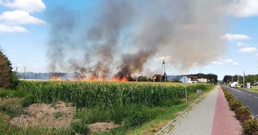 Do trzech pożarów pól doszło w czwartek na terenie powiatu...