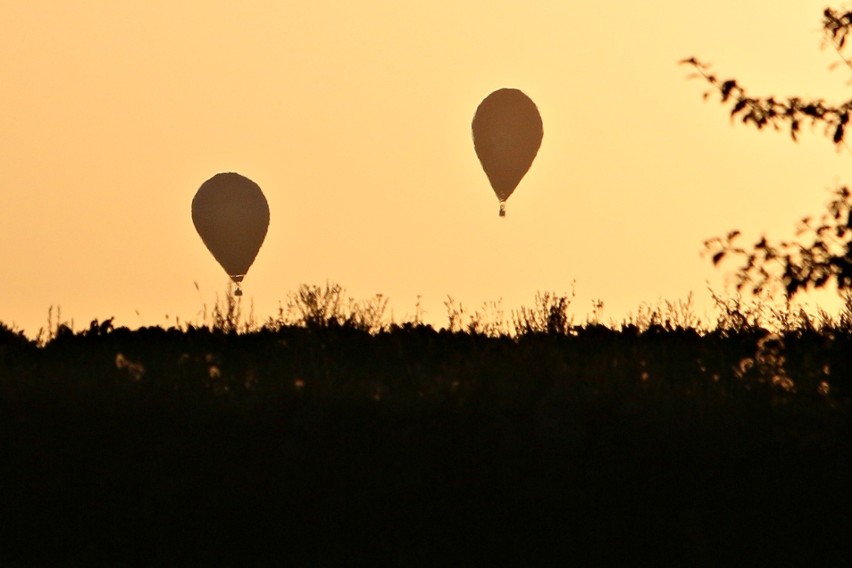 Zawody balonowe w Nałęczowie. Balony poszły w górę [DUŻO ZDJĘĆ]