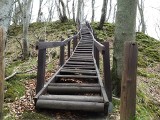 Rezerwat "Dolina Huczka" poleca się na spacer. To tylko 40 km od Słupska