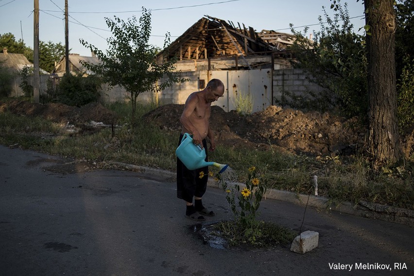 World Press Photo 2017. Zobaczcie najlepsze zdjęcia