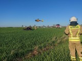 Śmiertelne dachowanie w powiecie łowickim. Zginął 39-letni kierowca hyundaia