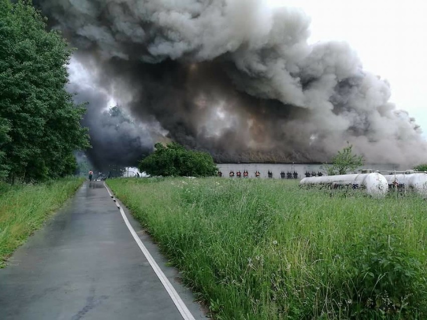 Pożar kurnika w Buchowie (gmina Debrzno). Ogromne straty! [ZDJĘCIA]