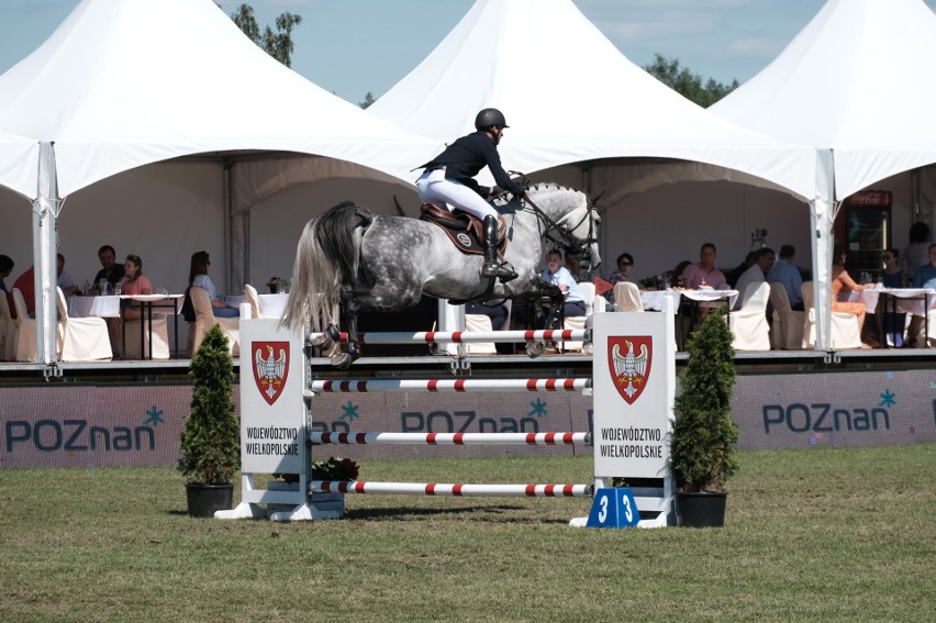 Włoski jeździec wygrał Grand Prix Poznania