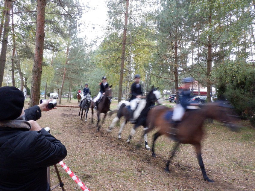 Hubertus przegalopował przez "Tazbirowo" nad Zalewem Koronowskim