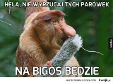 20 stycznia obchodzimy Dzień Bigosu. Z tej okazji mamy dla Was porcję memów