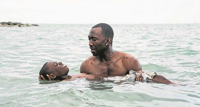 „Moonlight” wrócił do krakowskich multipleksów po Oscarach, ale jego popularność w sieci nie wzrosła