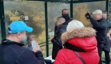 Katowice. 65-letni mężczyzna podejrzany o pedofilię zatrzymany na przystanku. Proponował 13-latce wizytę na działce w Pszczynie