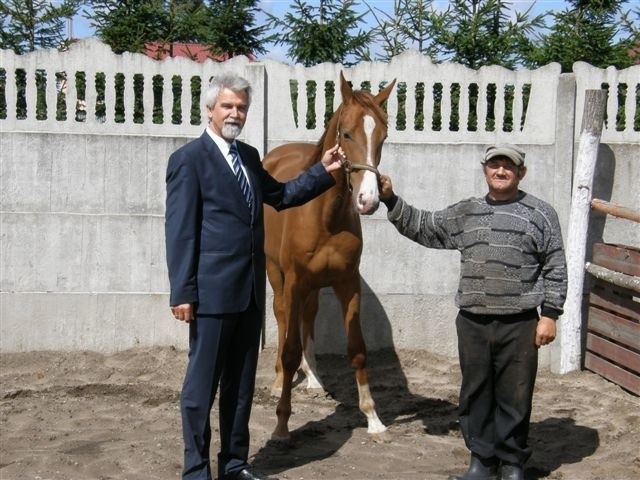 Wójt Mariusz Chmiel i Henryk Koperkiewicz  prezentują konia Błysk.
