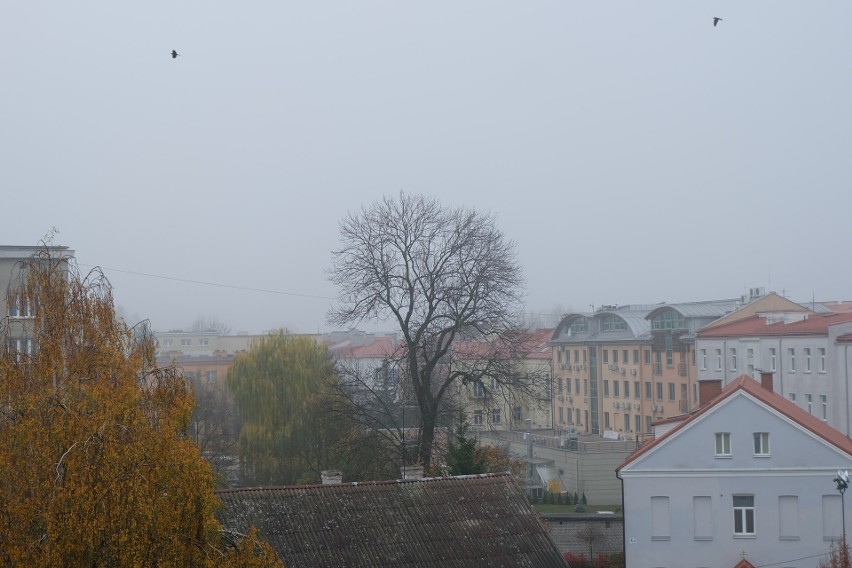 Między drzewem a blokiem po lewej zazwyczaj widoczny jest...