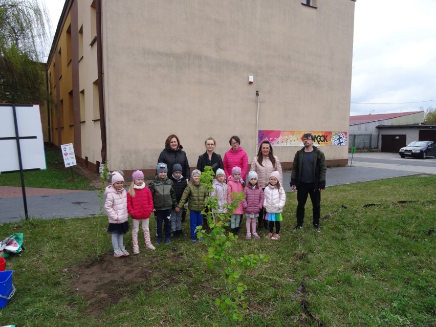 Przedszkolaczki sadziły drzewka w Skaryszewie.