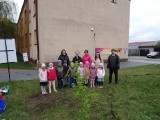 Przedszkolaczki ze Skaryszewa sadziły drzewka niedaleko Miejsko-Gminnego Ośrodka Kultury