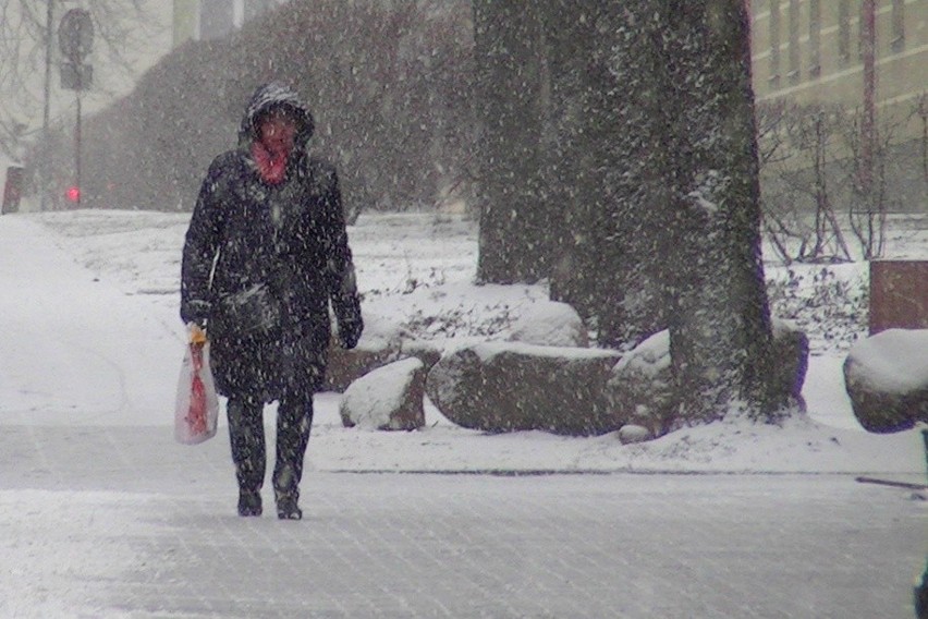 Atak zimy w Białymstoku. Sypie śnieg, a w piątek zaczyna się wiosna [FOTO, WIDEO]