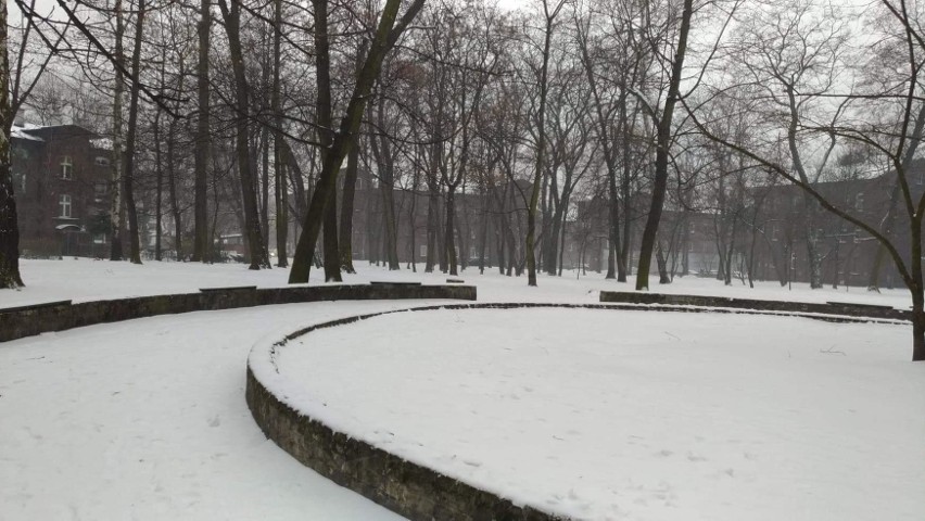 Park przy ulicy Maliny i Andersa zostanie parkiem. Miasto...