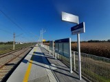 Nowy przystanek kolejowy "Iwiny" w gminie Siechnice. Dojścia nie ma, może będzie za 9 lat 