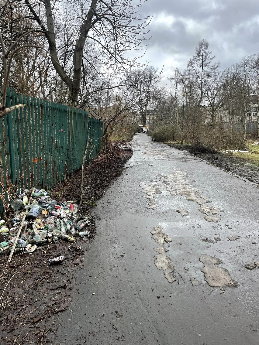 Kraków. Wielkie sprzątanie kupionego przez miasto parku Jalu Kurka. Kiedy zostanie otwarty dla mieszkańców?