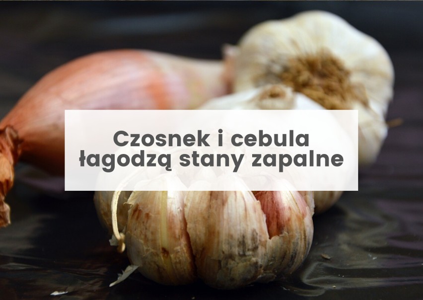 Cebula i czosnek to naturalne probiotyki i skarby na jesień! Właściwości, o których możesz nie wiedzieć