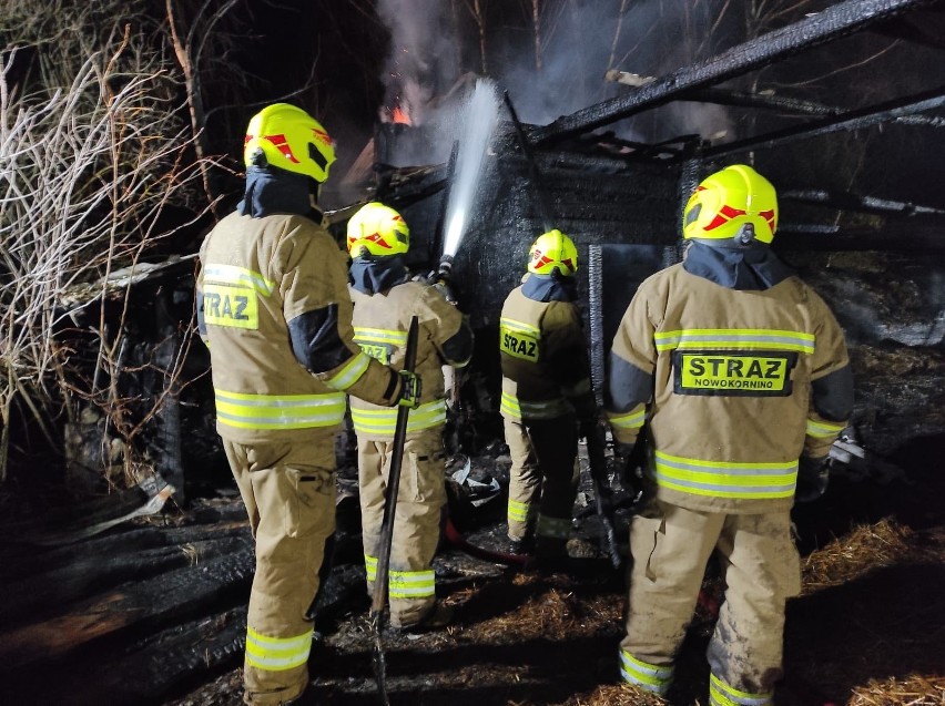 Nowiny. Pożar budynków gospodarczych gasiło aż 12 zastępów...