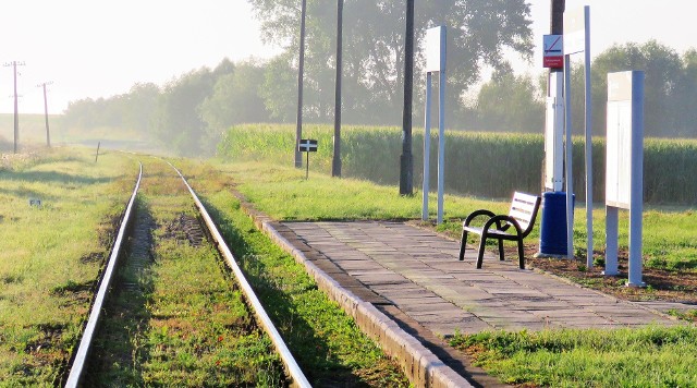 Tak prezentuje się teraz przystanek kolejowy w Grzybnie.