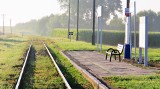 Przystanek Grzybno na trasie kolejowej Bydgoszcz - Chełmża zostanie zmodernizowany