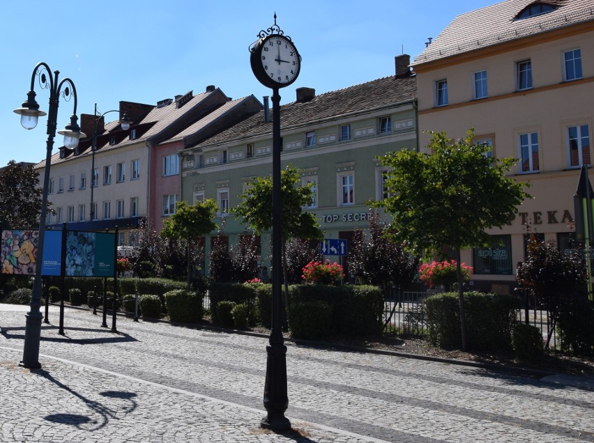 W Nowej Soli i okolicy można sprzedawać choinki, czyścić...