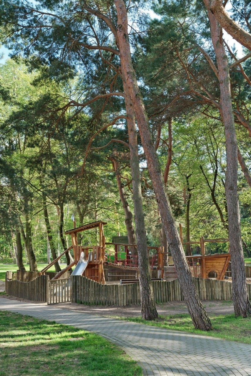 Sosnowy lasek stanowi centrum rekreacyjne osiedla Nadmorski...