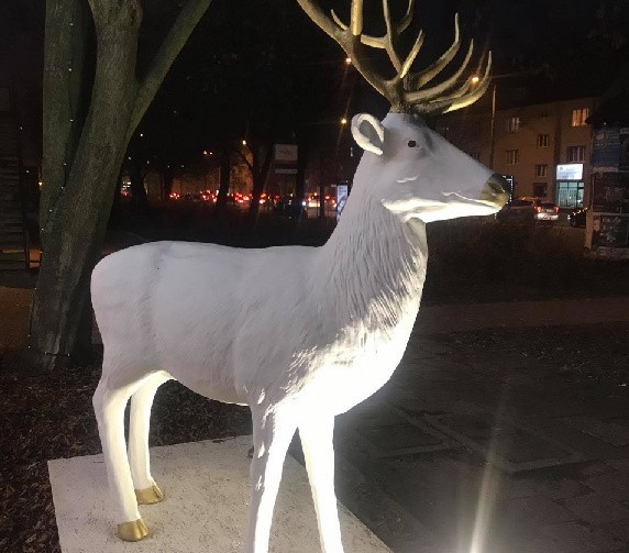 Sopot: Figura białego jelenia, która stanęła przy al. Niepodległości, została zniszczona. Ktoś pomalował ją sprayem. Policja bada sprawę