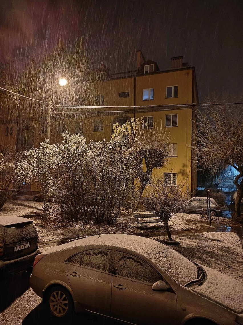 Śnieg spadł tuż po północy z piątku na sobotę w Ostrowcu...