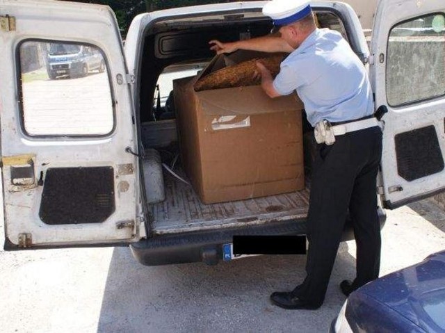 Policjanci znaleźli pełen karton sprasowanych liści tytoniu