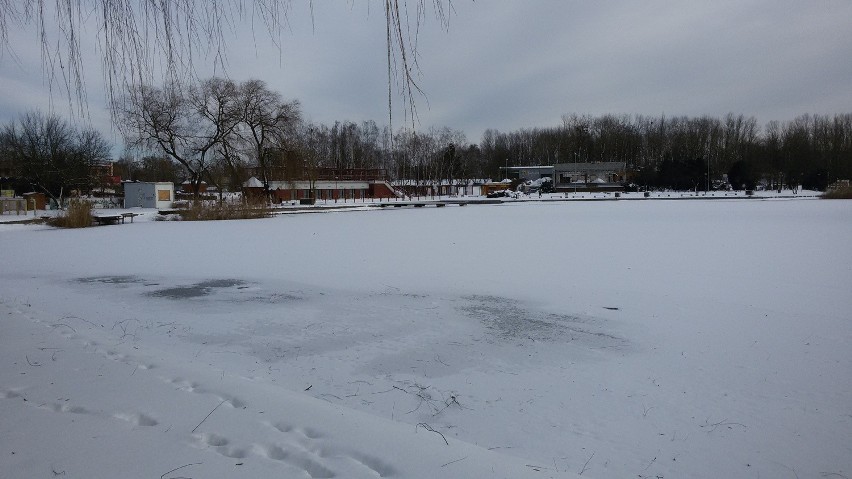 Świętochłowice: Zima zawitała nad staw Skałka [ZDJĘCIA]