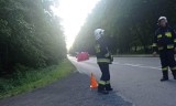 Po tragedii na drodze pod Szczecinem poszukiwani są świadkowie. Dramatyczny apel w mediach społecznościowych 