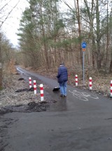 Ścieżka rowerowa przy ulicy Dąbskiej trafiła pod stałe utrzymanie ZDiTM. Starszy mężczyzna nie musi sam jej sprzątać 