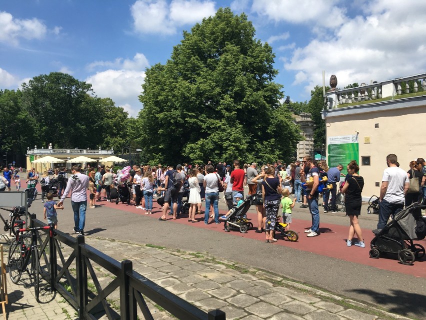 Śląski Ogród Zoologiczny przeżywał prawdziwe oblężenie, przy...