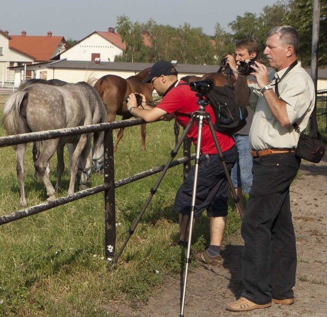 Fotografowaniem koni zajęli się uczestnicy pierwszego z pięciu plenerów fotograficznych zorganizowanych podczas tegorocznych wakacji przez Lokalna Grupę Działania "Ponidzie&#8221;.