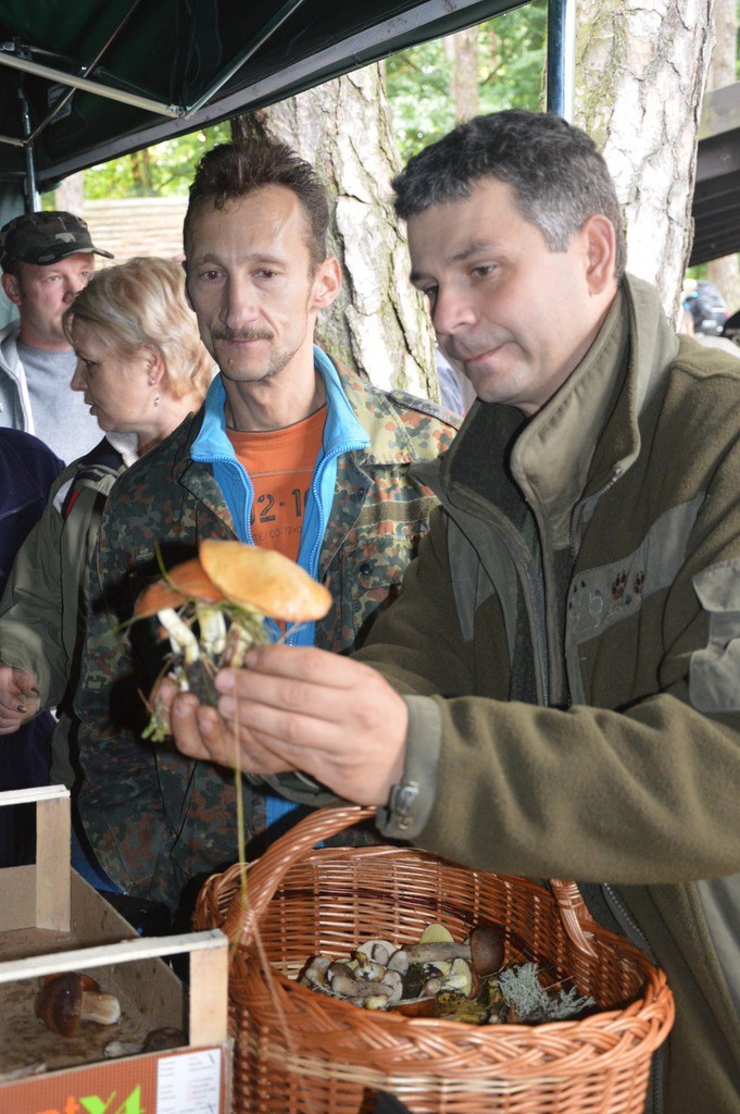 Grzybobranie w Korzybiu