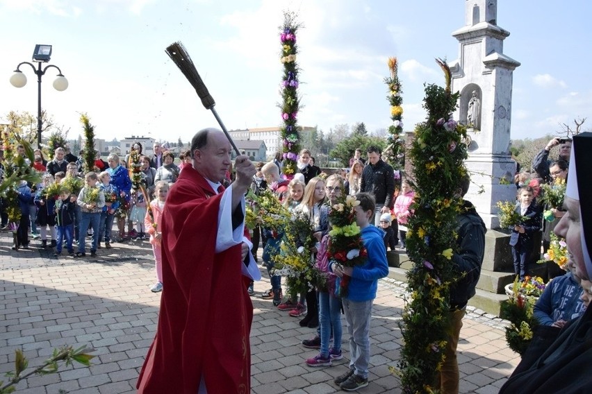 Zabrzeg: takie palmy to dzieła sztuki! ZDJĘCIA