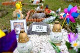 Cmentarz dla zwierząt "Tęczowy Las" w Toruniu. Jak wygląda, ceny pochówku [ZDJĘCIA] Toruńska grzebalnia musi się powiększyć
