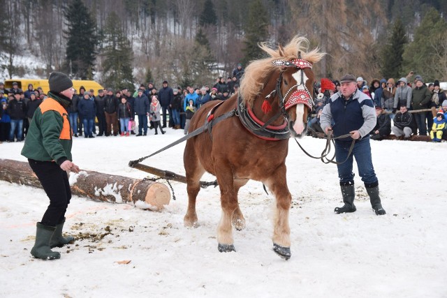 IX Zawody Furmanów już za nami