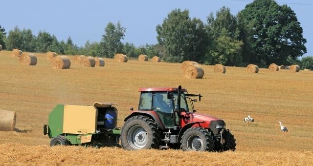 Konkurs na innowacje dotyczące rolnictwa i obszarów wiejskich