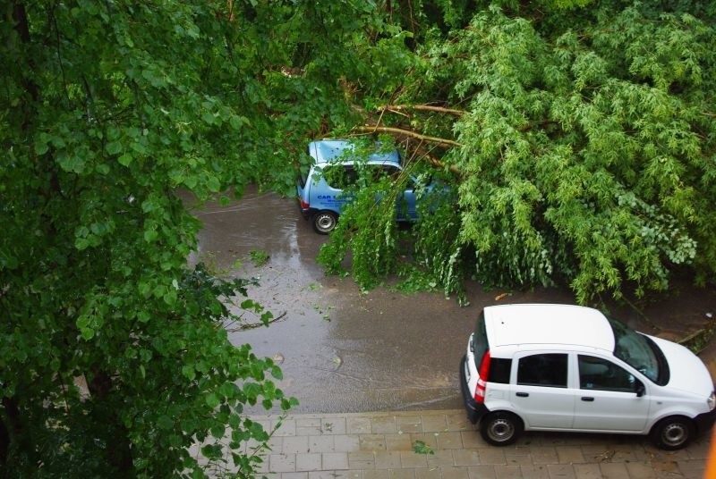 Samochód przygnieciony przez drzewo po burzy