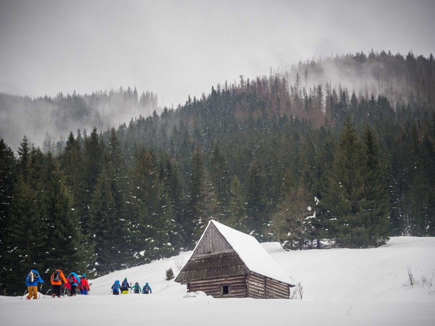 Tatry. Skitourowy raj w górach. Łapią każdy dzień pogody [ZDJĘCIA]