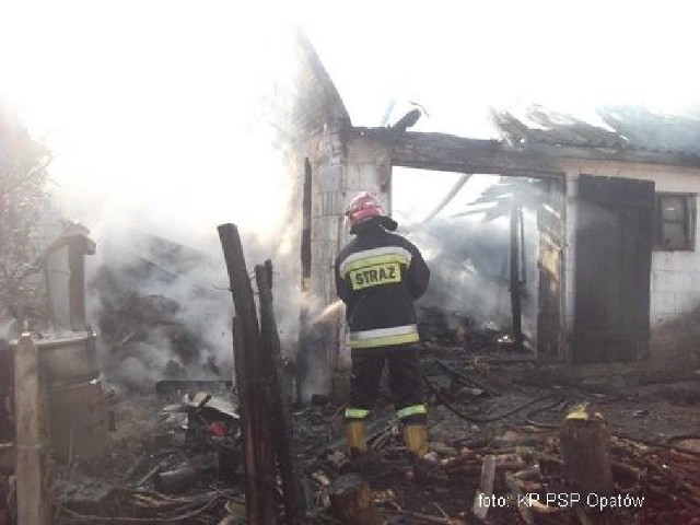 Strażacy gasili w poniedziałek budynek gospodarczy. Niestety nie udało się uratować zwierząt, które przebywały w pomieszczeniach.