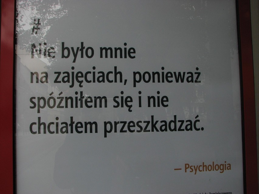 Przy ul. Szewskiej stanęła nietypowa galeria. Możemy...