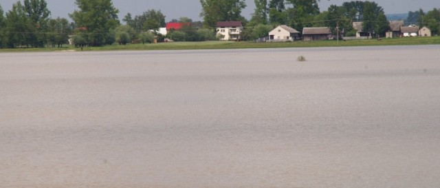 Takie ogromne szkody wyrządziła "cofka&#8221; na Nidzie na terenie gminy Nowy Korczyn. Pod wodą znalazły się hektary łąk i pól uprawnych.