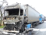 Pożar ciężarówek pod Prudnikiem. Na parkingu spłonęło kilka samochodów. Policja: "To było podpalenie". Poszukiwani świadkowie