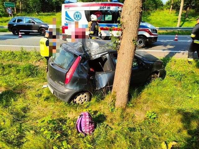 Poświętne. Wypadek na DK8. Fiat uderzył w drzewo