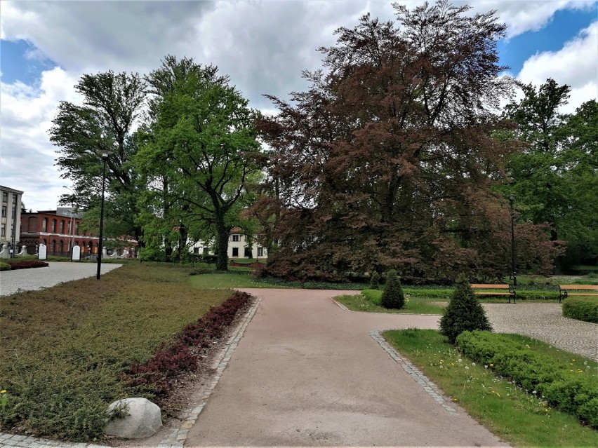 Spacer po parku im. Słowackiego w Pabianicach ZDJĘCIA