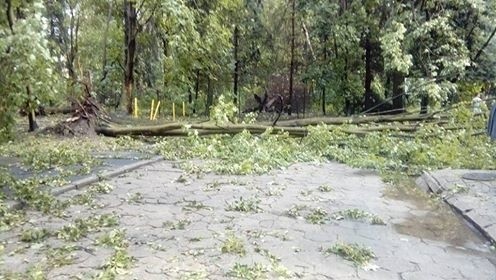 Burza w Łodzi. Nawałnica nad Łodzią. Powalone drzewa, gałęzie na drogach, zalane ulice [ZDJĘCIA]